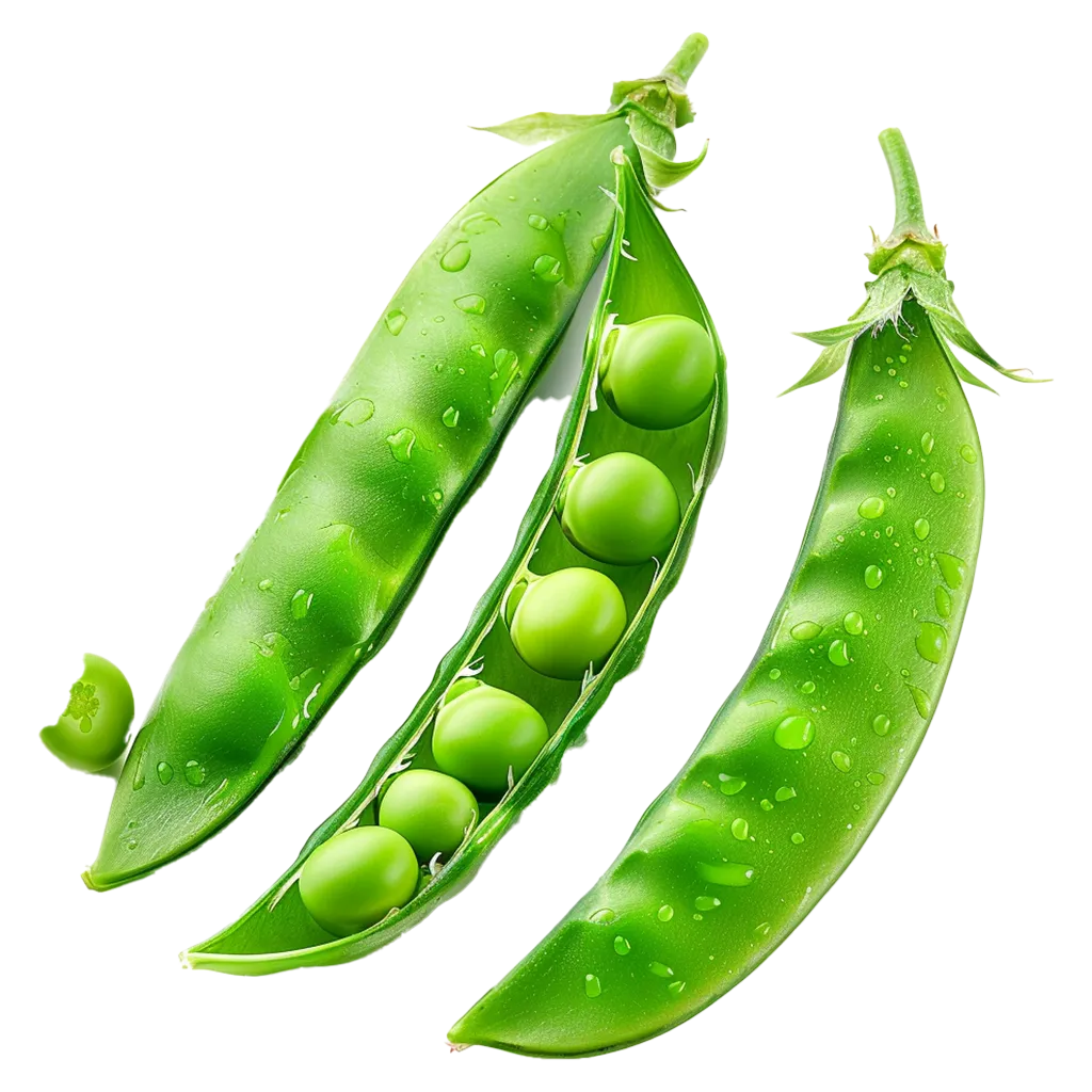 Drei grüne Erbsenschoten mit Wasserperlen.