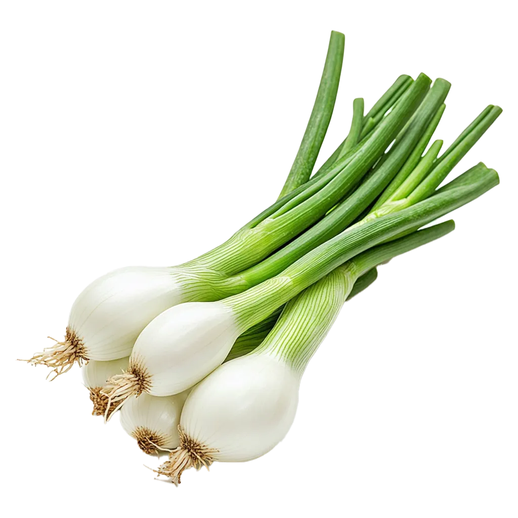 Ein Bund frischer Frühlingszwiebeln.