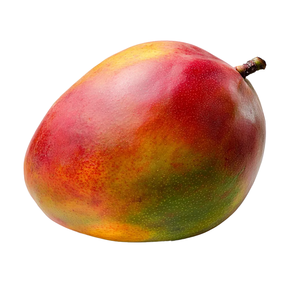 Eine reife Mango mit roten und grünen Farbtönen.