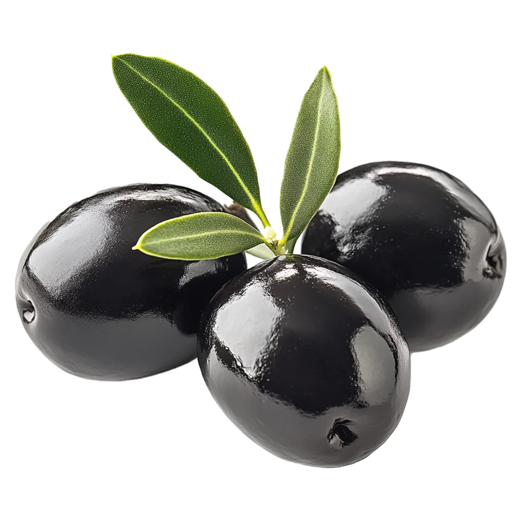 Drei schwarze Oliven mit einem Zweig.