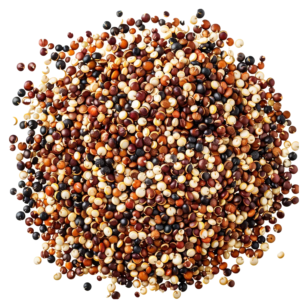 Haufen von dreifarbigem Quinoa-Samen.