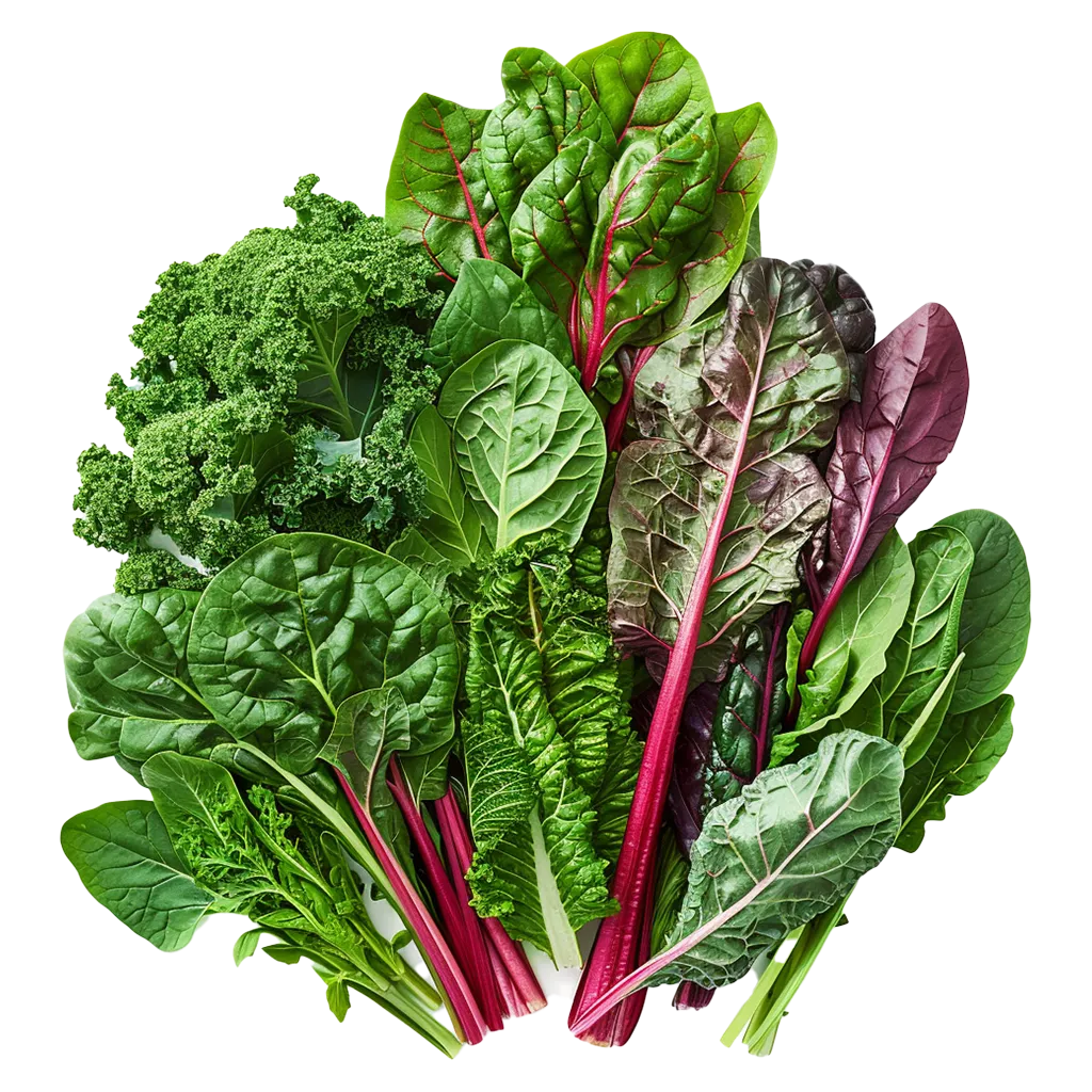 Bunter Haufen frischer Blattgemüse mit roten Stielen.