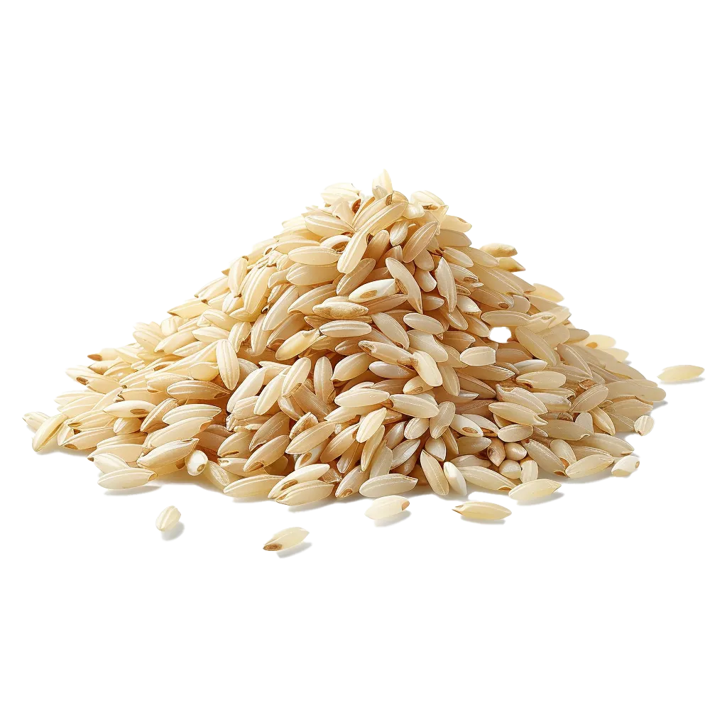 Ein Haufen brauner Reiskörner auf schwarzem Hintergrund.