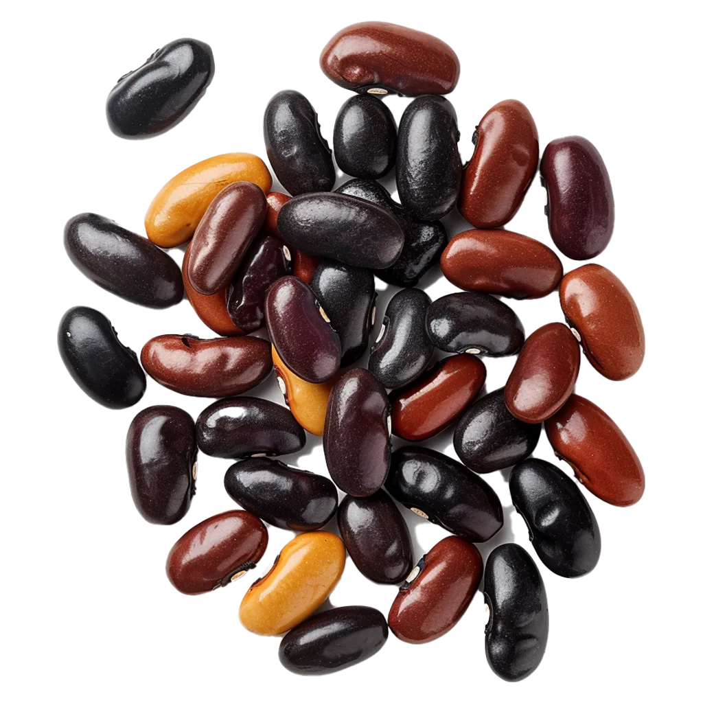 Bunte Kidneybohnen liegen auf schwarzem Hintergrund.