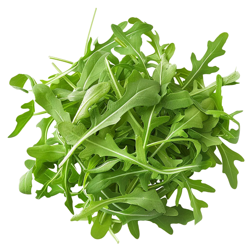 Ein Haufen frischer Rucola-Blätter.