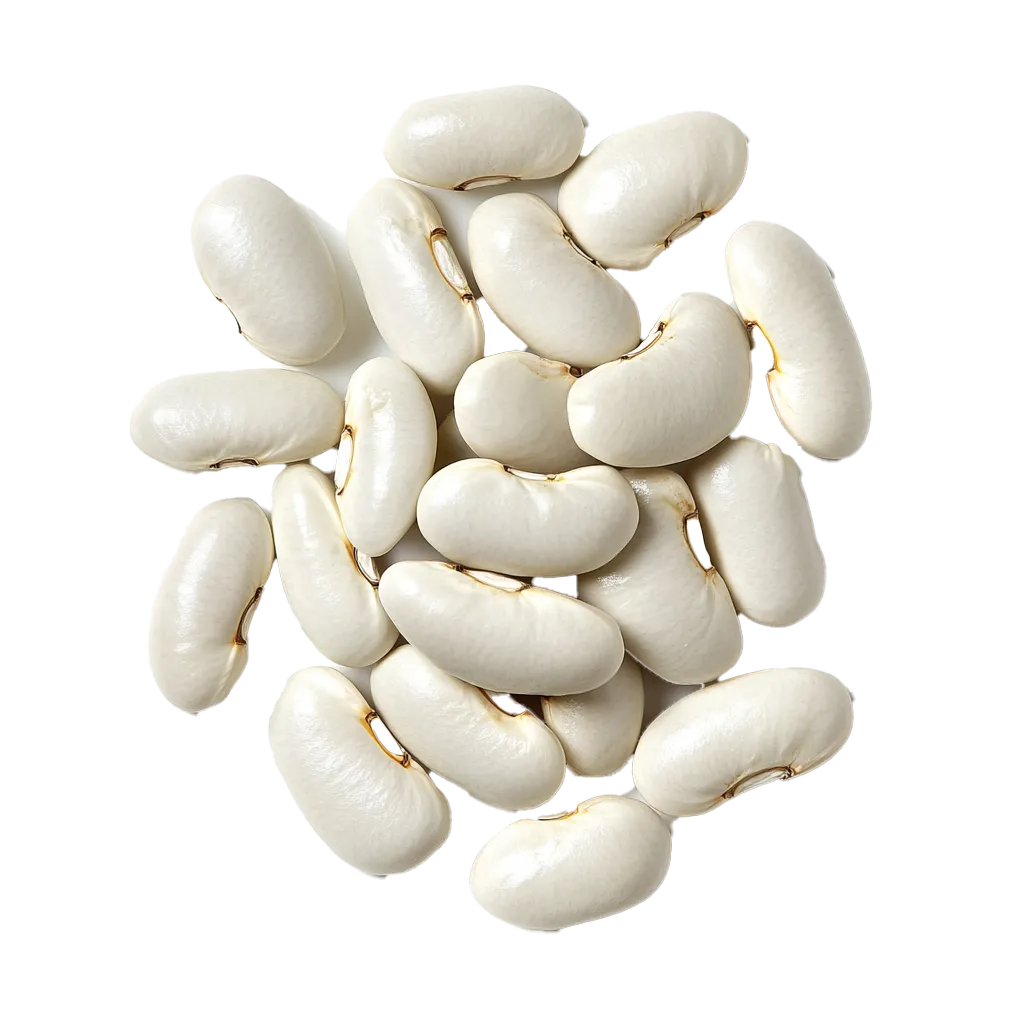 Haufen weißer Bohnen auf schwarzem Hintergrund.