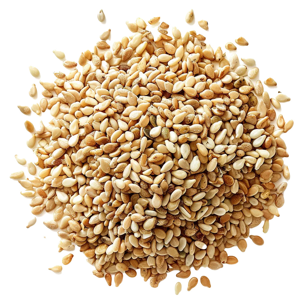 Haufen von hellbraunen Sesamsamen