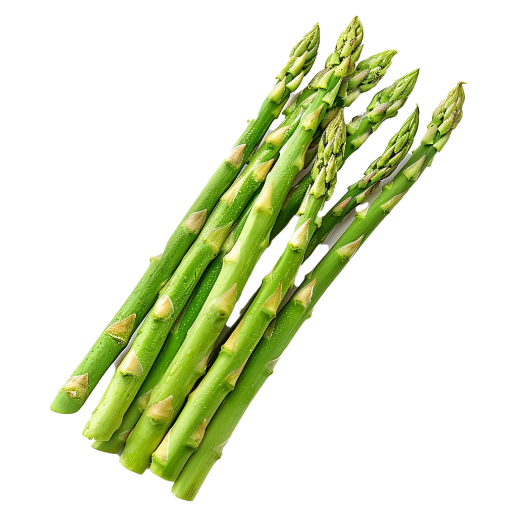 Ein Bund frischer grüner Spargel auf schwarzem Hintergrund.